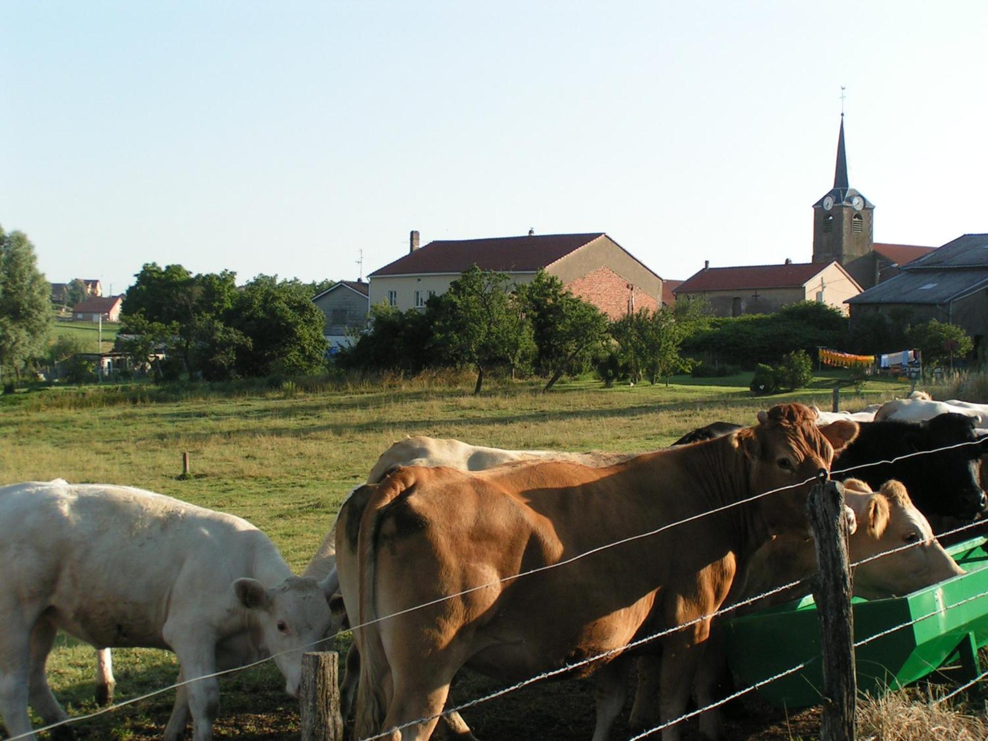 Chambres d'hôtes Au presbytère Racrange Esterno foto